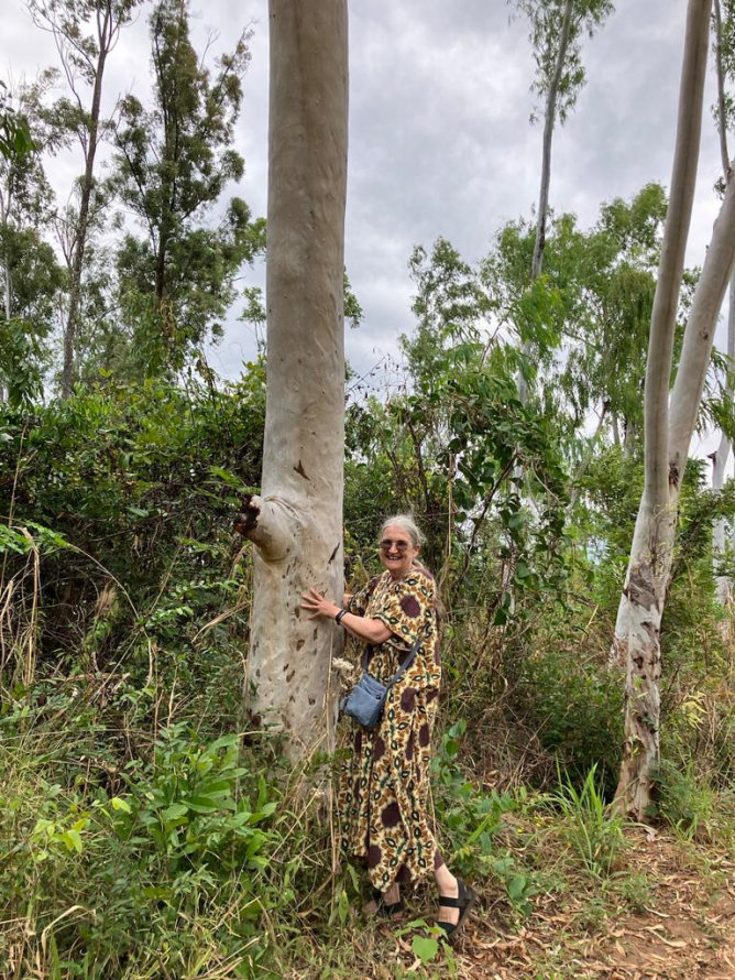 Still trees left to hug Still trees left to hug